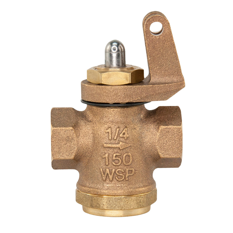 Load image into Gallery viewer, Bronze Whistle Valve 150 WSP 1/4&quot; NPT (STEAM)
