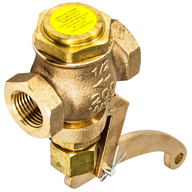 Load image into Gallery viewer, Bronze Steam Whistle Valve 200 WSP
